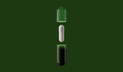 Daily Synbiotic