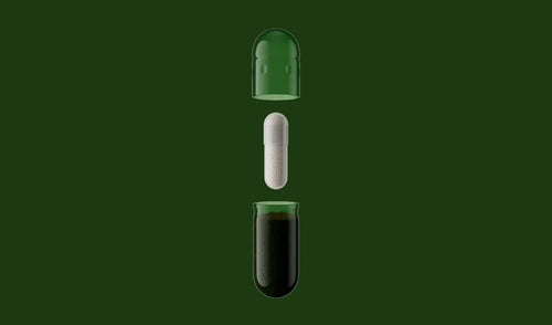 Daily Synbiotic